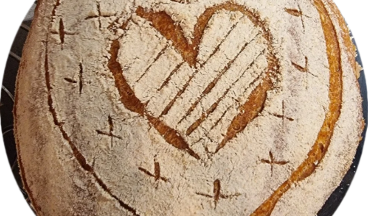 Brot backen Grundwissen