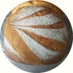 Brot backen Grundwissen