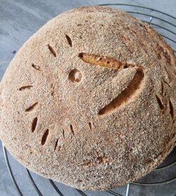 Isidor Brot