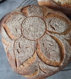 Weizen-Dinkelbrot