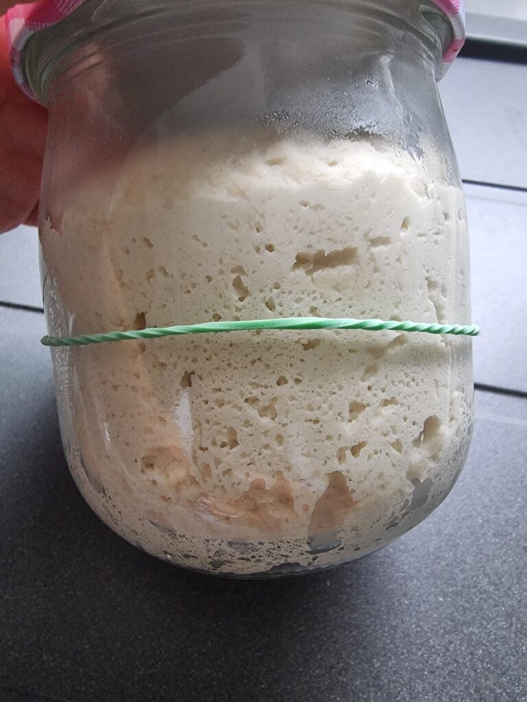 Brotbacken mit Lievito Madre