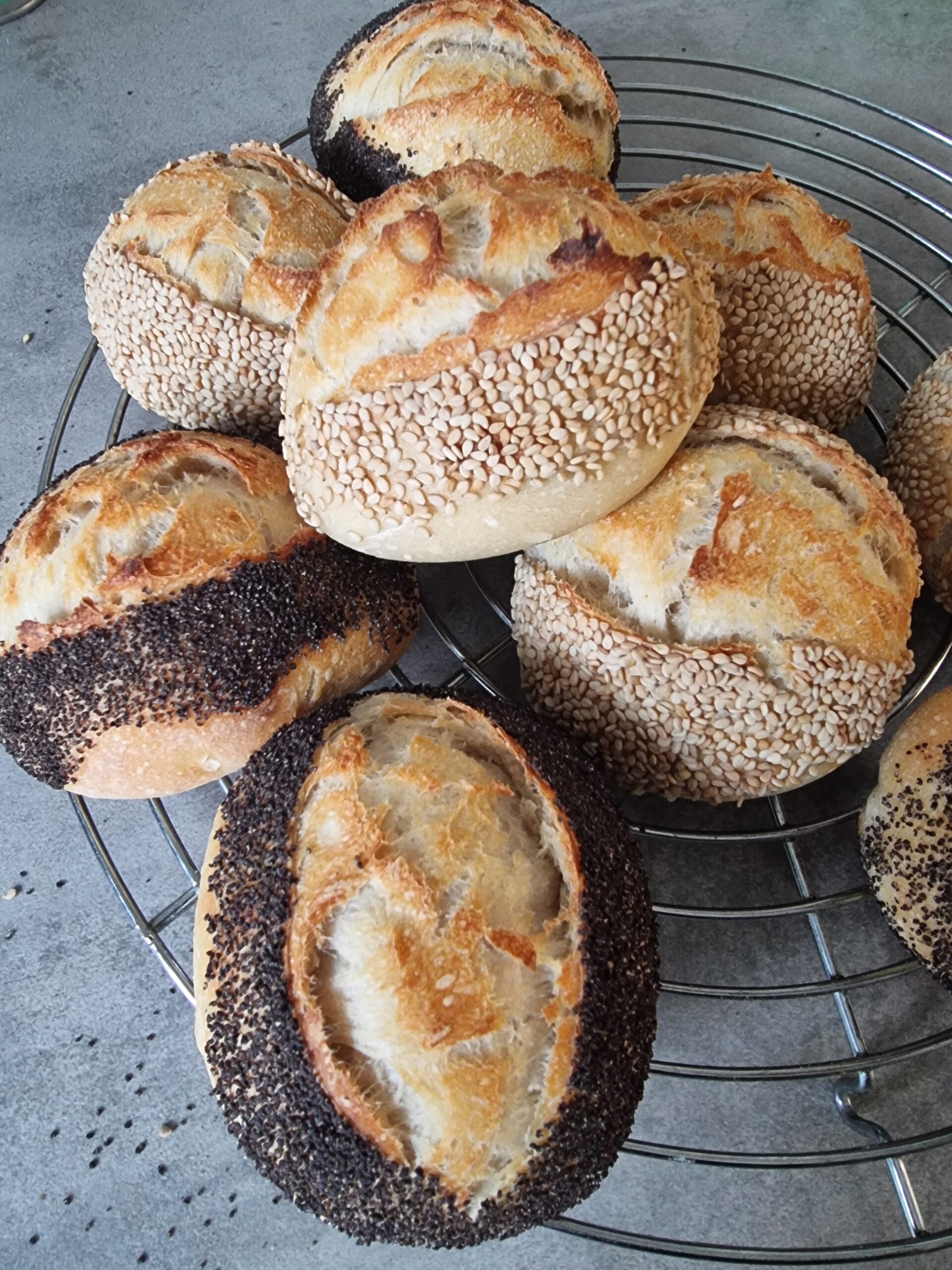 Buttermilch-Brötchen