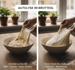 Autolyse im Brotteig​