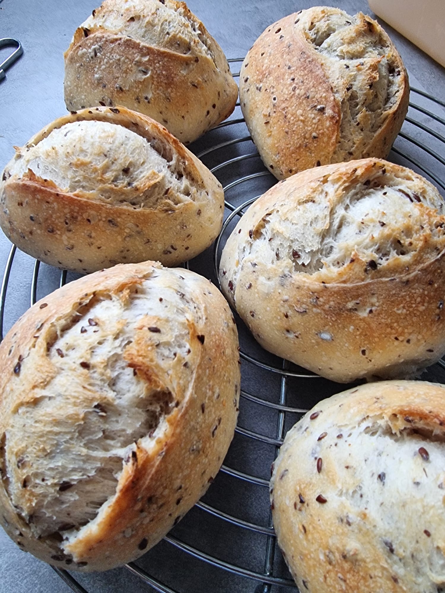 Dinkel Goldbäckchen