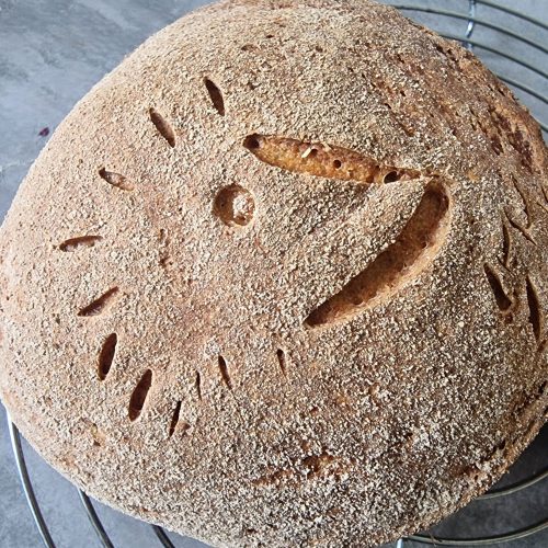 Isidor Brot