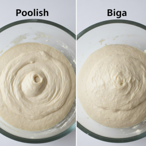 Poolish vs. Biga